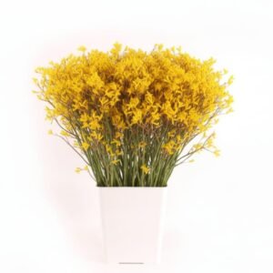 Kangaroo Paw Siena Gold